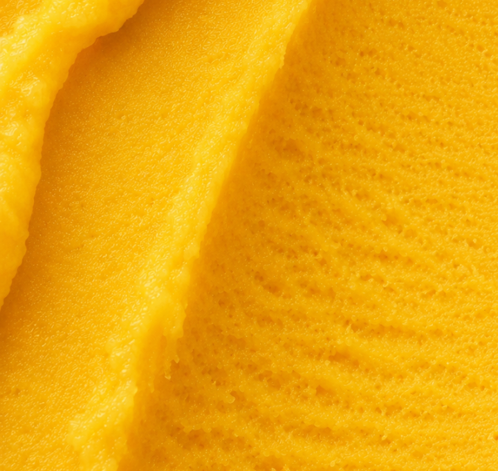 sorbetto mango ravifruit